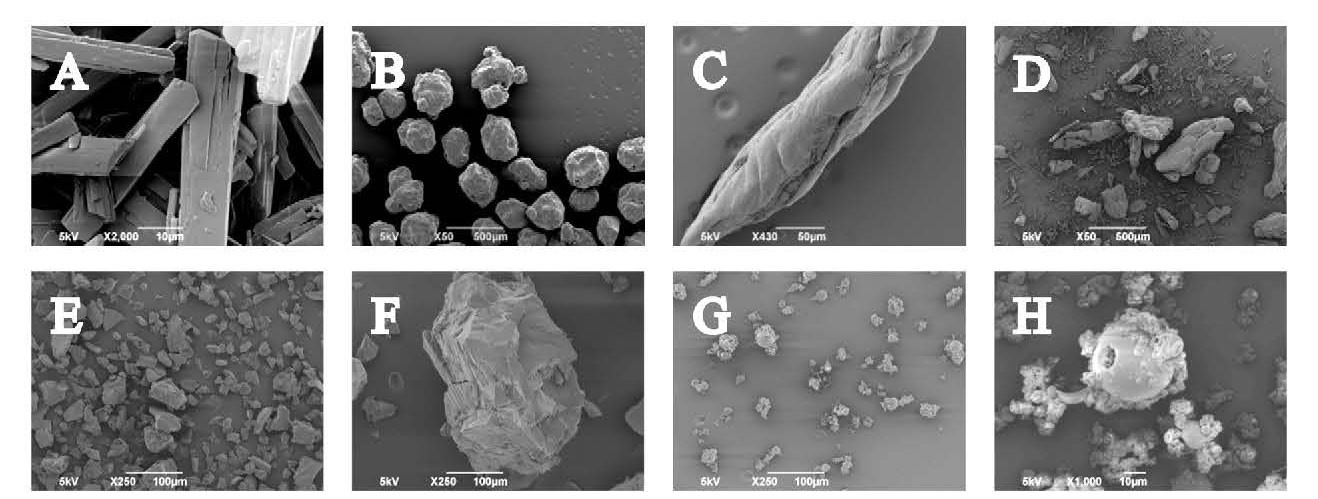 Using powder testing to optimise the processing characteristics of amorphous solid dispersions